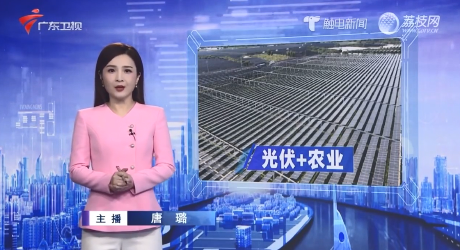 【廣東衛視】板下種菜板上“種”電 探索富民興村新道路